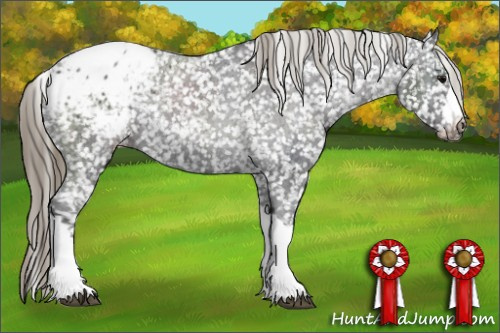 Horse Color: Smoky Black Blanket Rabicano 