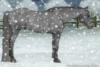 Horse Color:Black Varnish Rabicano 