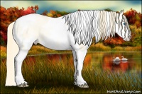 Horse Color:Buckskin Pearl Mushroom Splash Tobiano Blanket 