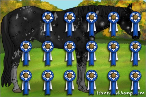 Horse Color: ERROR: UNKNOWN ANOMALY