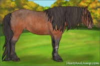 Horse Color:Brown Varnish  Brindle