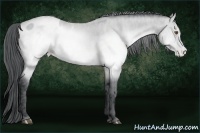 Horse Color:Brown Chinchilla Blanket  Brindle