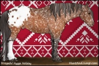 Horse Color:Brown Appaloosa  Brindle