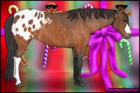 Horse Color:Brown Blanket  Brindle