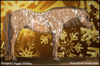 Horse Color:Brown Appaloosa Brindle