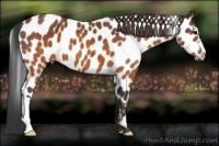 Horse Color:Brown Leopard  Brindle