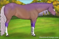 Horse Color:Watercolor Silver Brown