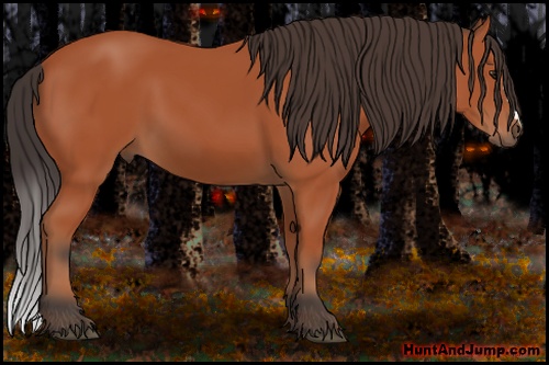 Horse Color: Bay 