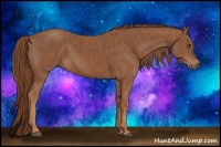 Horse Color:Chestnut  Brindle