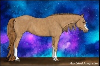 Horse Color:Chestnut  Brindle