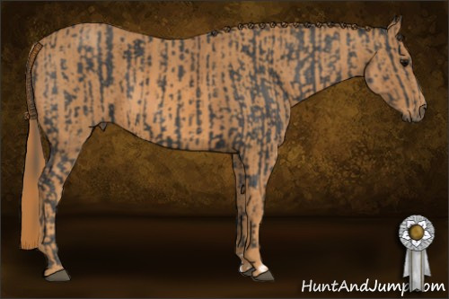Horse Color: Black  Brindle