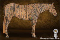Horse Color:Black  Brindle