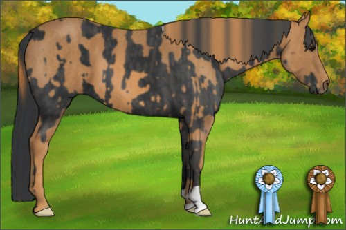 Horse Color: Black  Brindle