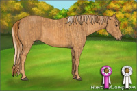 Horse Color:Palomino Brindle