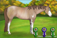 Horse Color:Black Pearl Sabino Rabicano 