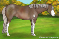 Horse Color:Silver Black Sabino 