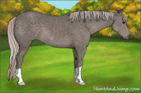 Horse Color:Silver Black 