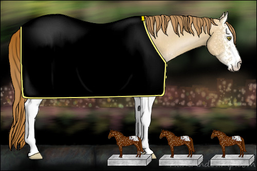 Horse Color: White Spotted Red Dun Pearl Rabicano 