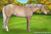 Horse Color:Silver Black Pearl Rabicano 