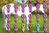 Horse Color:Black Sabino Rabicano 