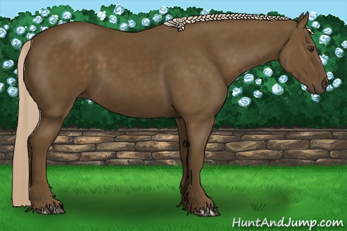 Horse Color:Chocolate Palomino 