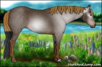 Horse Color:Gray Chocolate Palomino 