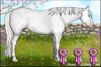 Horse Color:Gray Silver Amber Cream Champagne Roan Dun Splash Tobiano Frame Near Leopard Rabicano 