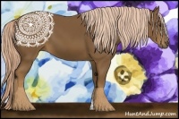 Horse Color:Chocolate Palomino 