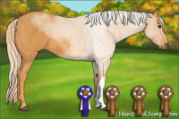 Horse Color:Chocolate Palomino 