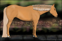 Horse Color:Chocolate Palomino 