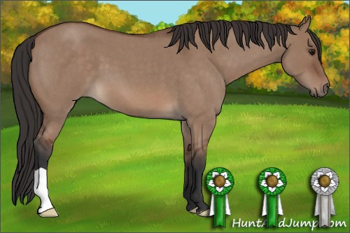 Horse Color: Unknown 