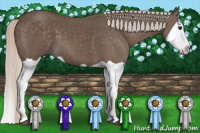 Horse Color:Silver Black Splash 