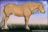 Horse Color:Chocolate Palomino Mushroom 