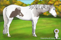 Horse Color:Silver Black Sabino Splash Tobiano