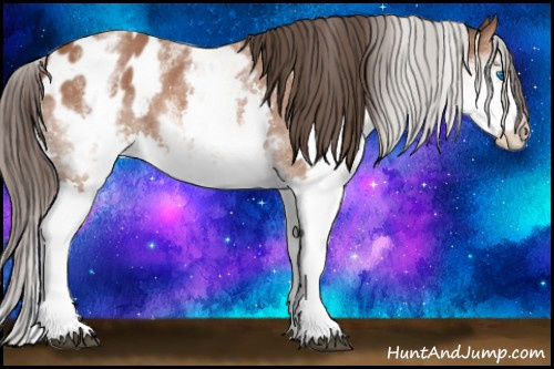 Horse Color: White Spotted Bay Splash Blanket 