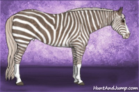 Horse Color:Silver Black Splash 
