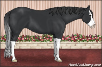 Horse Color:Brown Splash