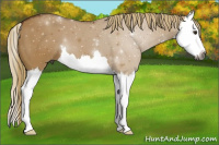 Horse Color:ERROR: UNKNOWN ANOMALY