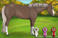 Horse Color:Silver Black Splash 