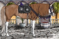 Horse Color:Chestnut Splash Rabicano 
