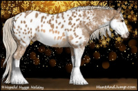Horse Color:Chocolate Palomino Sabino Appaloosa