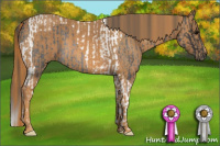 Horse Color:Brown Roan Tobiano Rabicano  Brindle