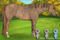 Horse Color:Brown Dun Rabicano  Brindle