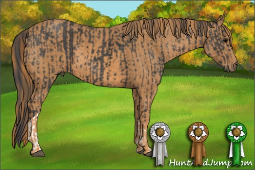 Horse Color: Brown Tobiano Rabicano  Brindle