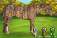 Horse Color:Brown Tobiano Rabicano  Brindle