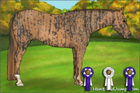 Horse Color:Brown Rabicano Brindle