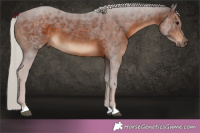Horse Color:Silver Brown 