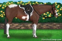 Horse Color:Bay Tobiano Frame