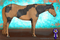 Horse Color:Brown Rabicano Brindle
