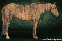 Horse Color:Brown Rabicano Brindle